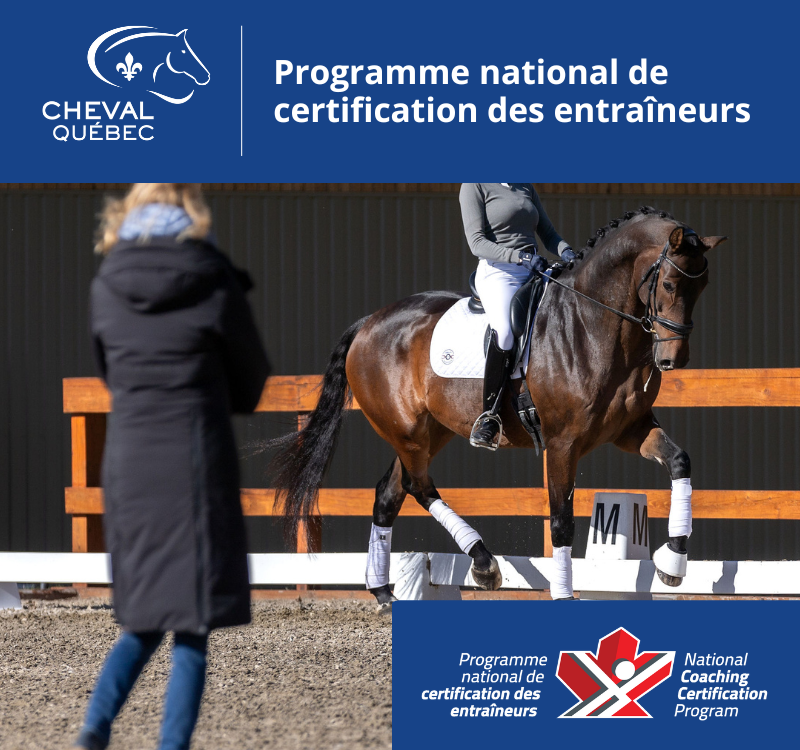 Entraîneur Compétition-Développement PNCE/CE en dressage